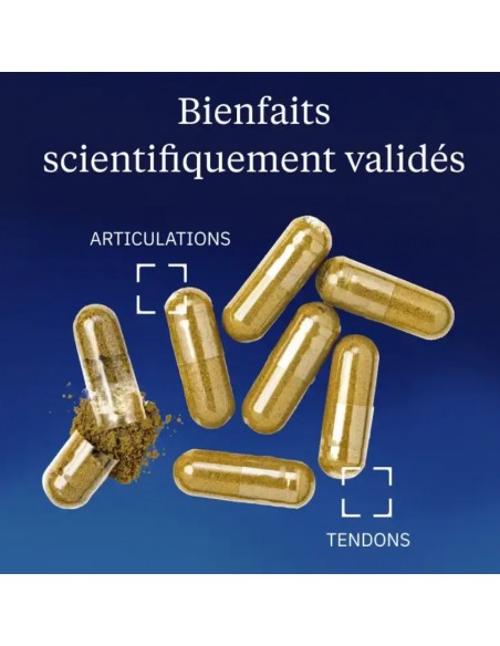 Bienfaits scientifiquement validés
