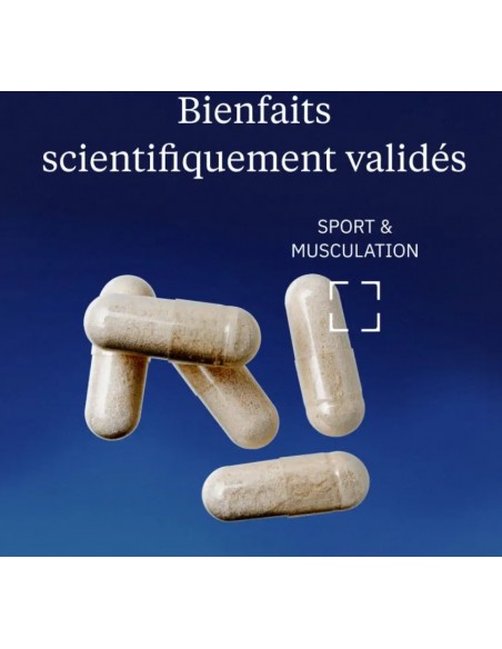Glucosamine Chondroïtine "Dynveo" bienfaits